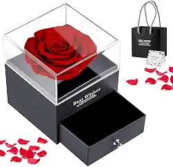Rosa Eterna em Caixa para Joias