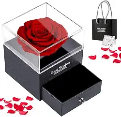 Caixa de Joias com Rosa Eterna Preservada