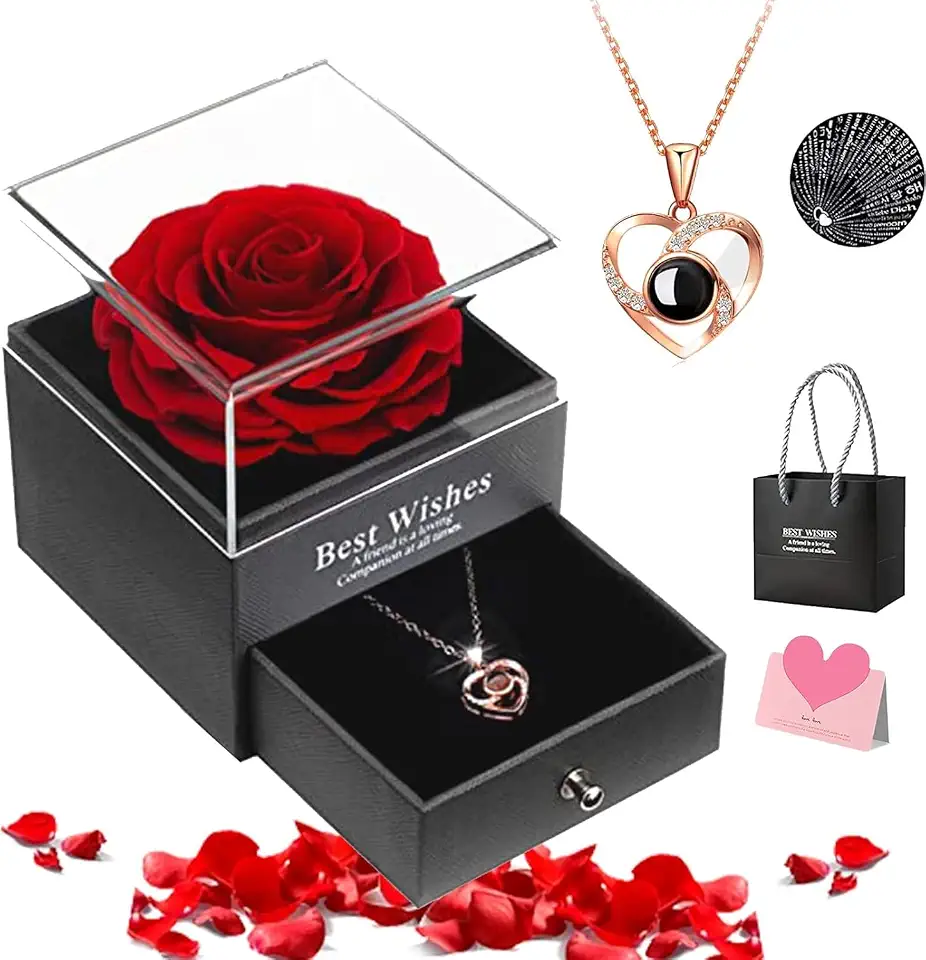 Conjunto de Colar e Rosa Eterna 100 Idiomas