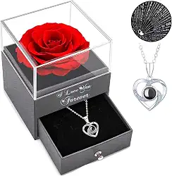 Colar com Rosa Eterna e Projeção I Love You