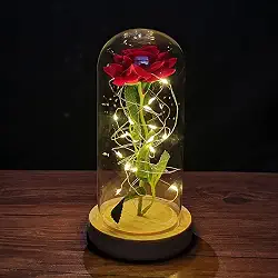 Rosa Encantada A Bela e a Fera em Cúpula de Vidro com LED